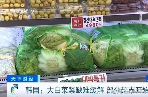 价格猛涨限购断货疯狂进口中国大白菜AG旗舰厅·(中国)国际厅韩国泡菜(图1)